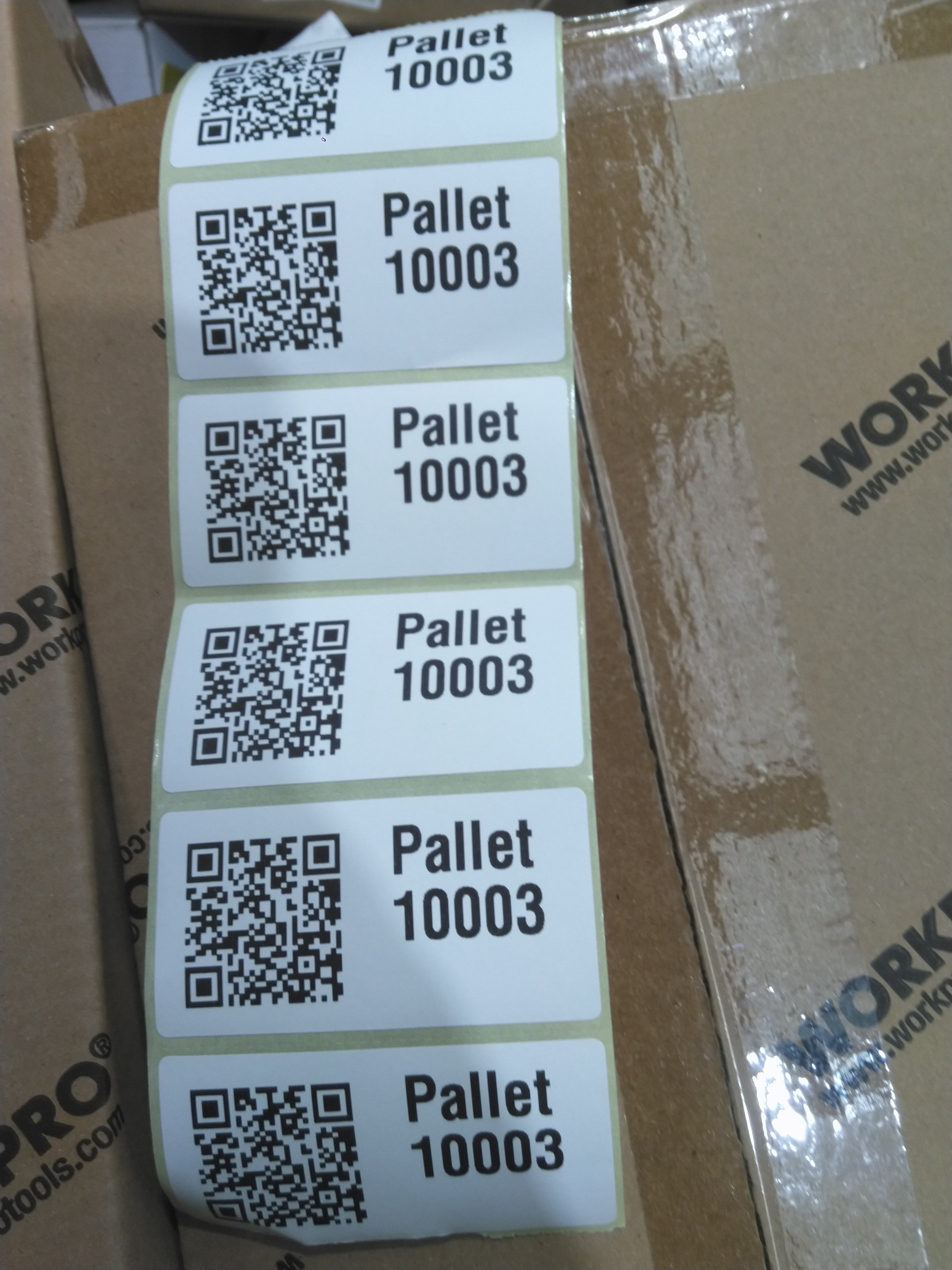 Pallet 10003