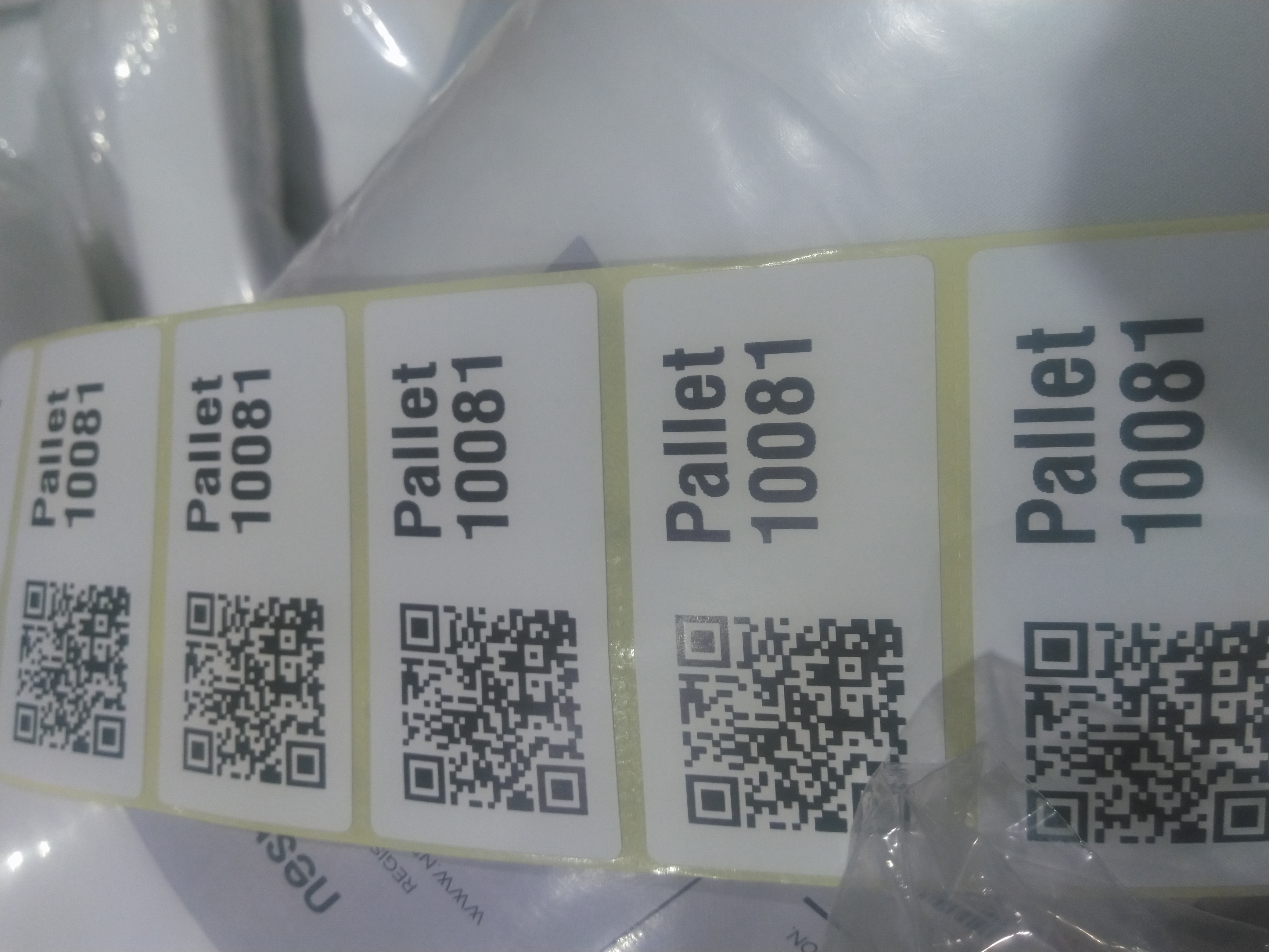 Pallet 10081