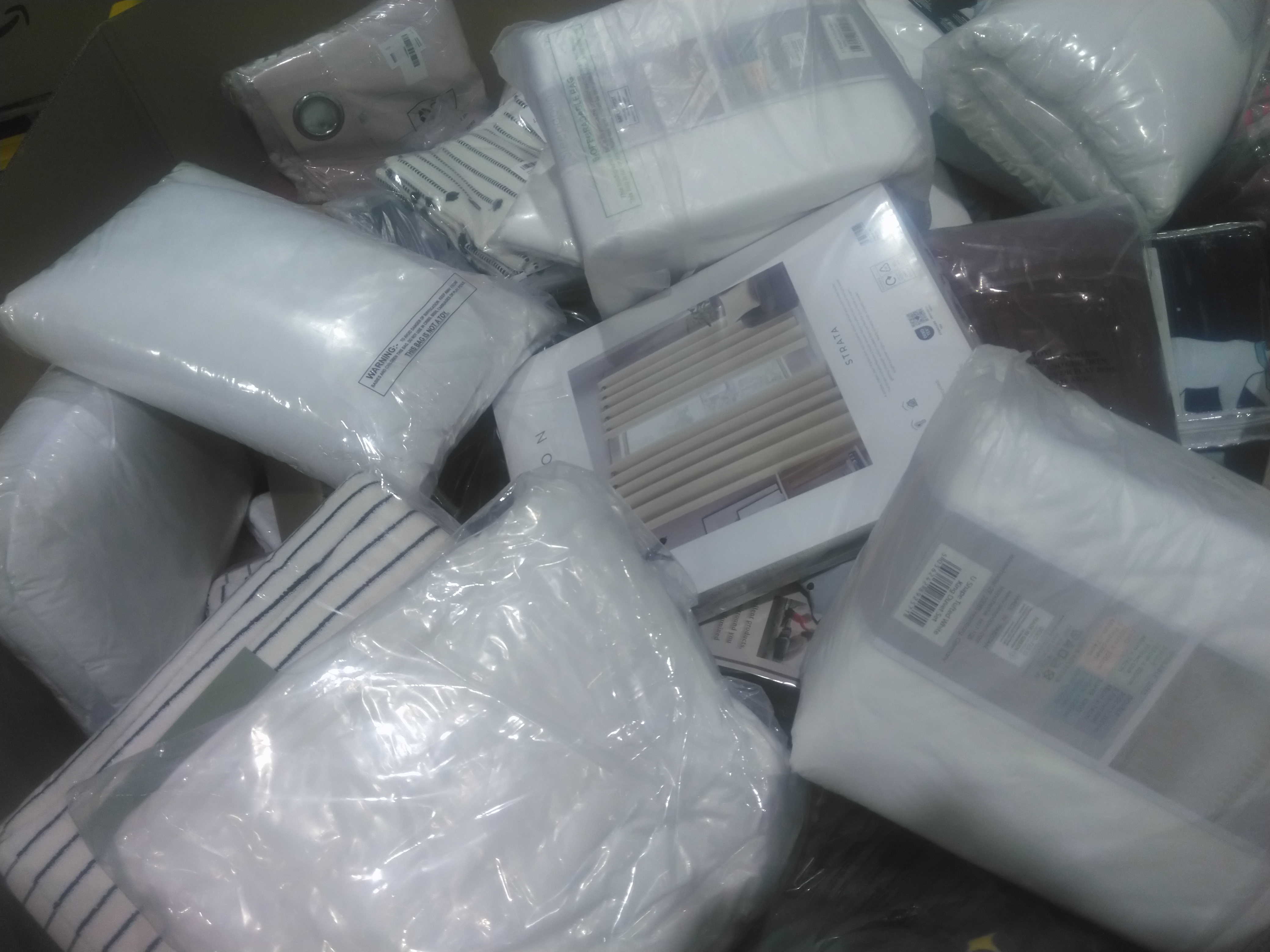 Pallet 10081