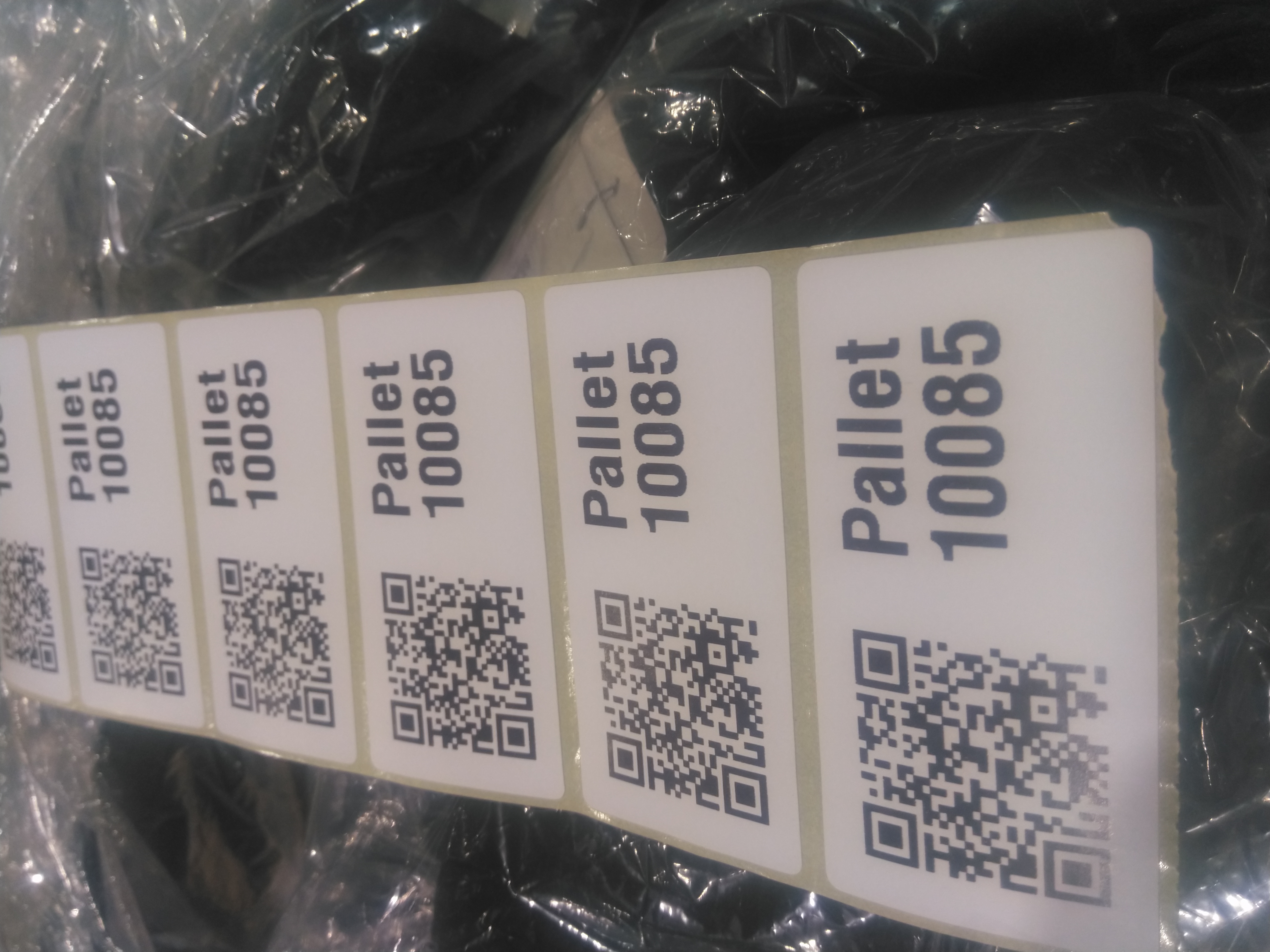 Pallet 10085