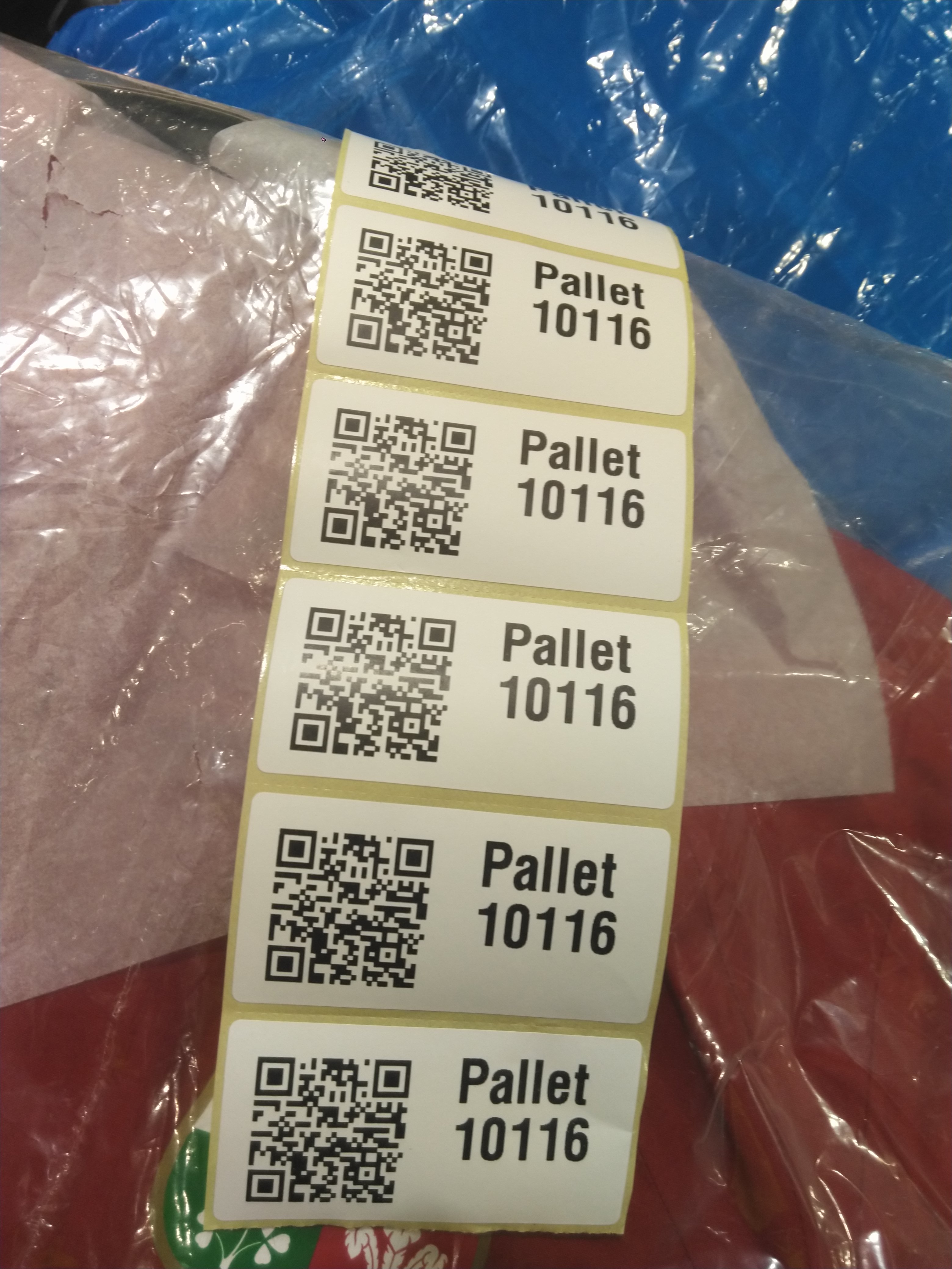 Pallet 10116