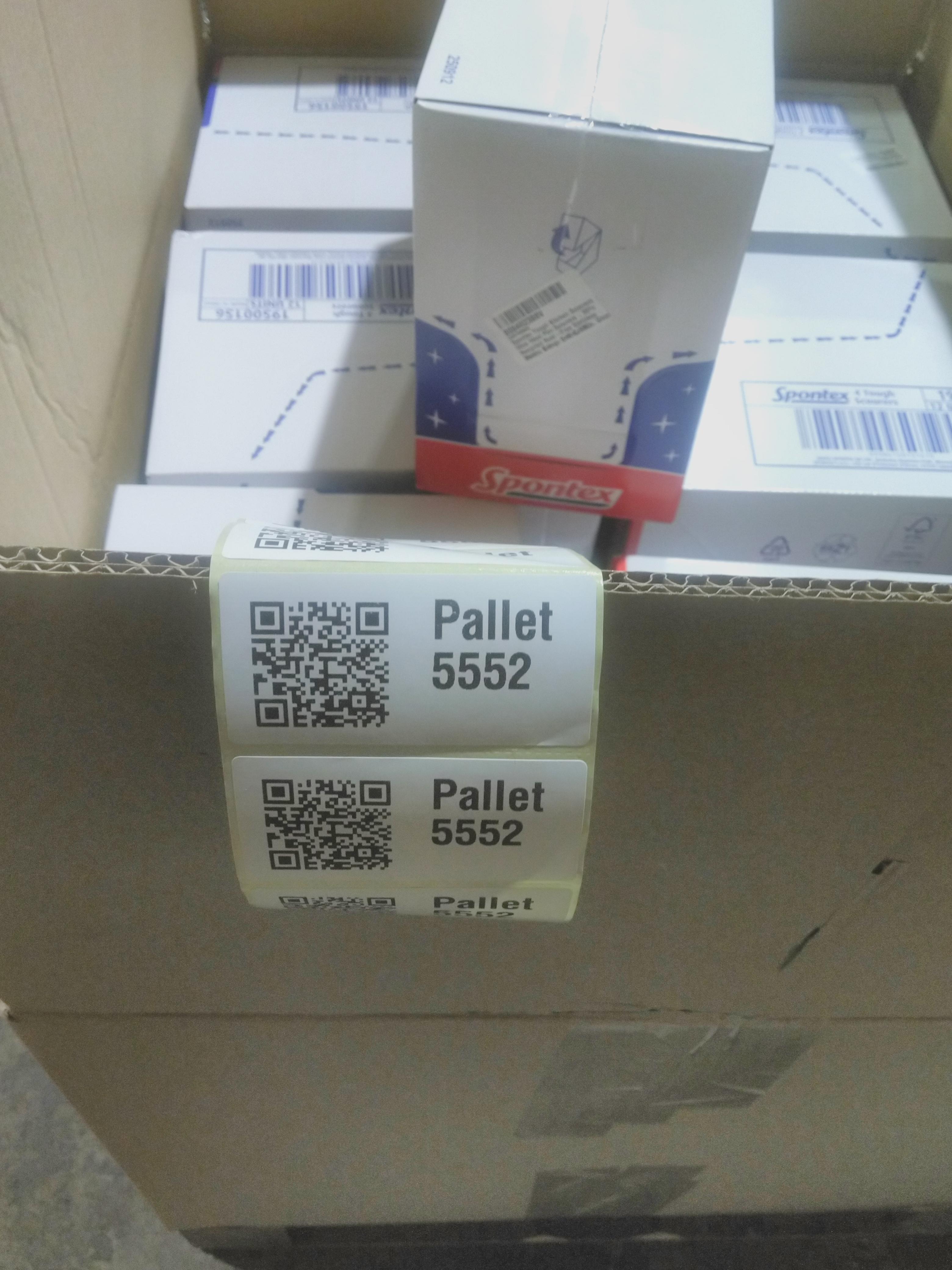 Pallet 5552