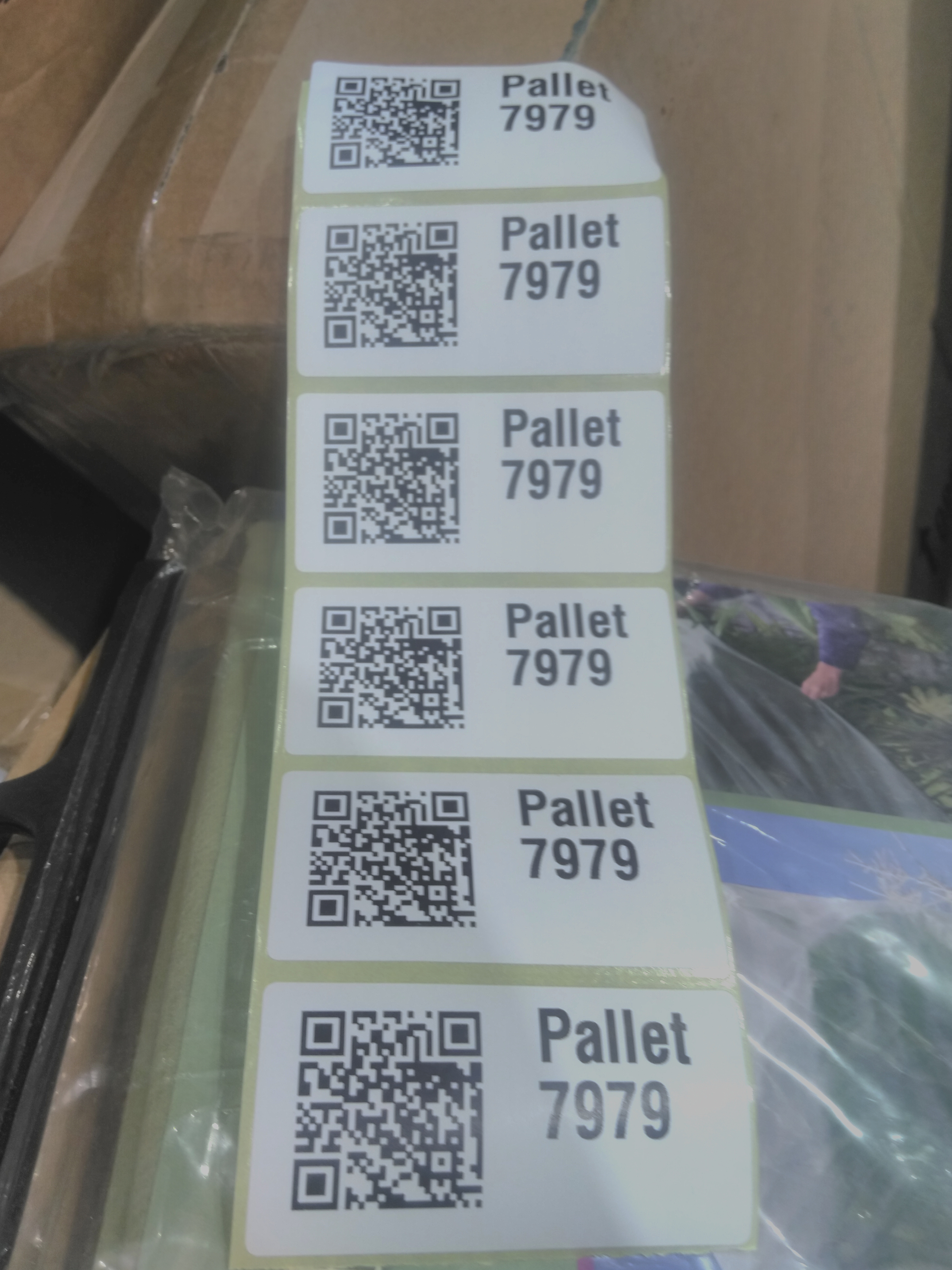 Pallet 7979