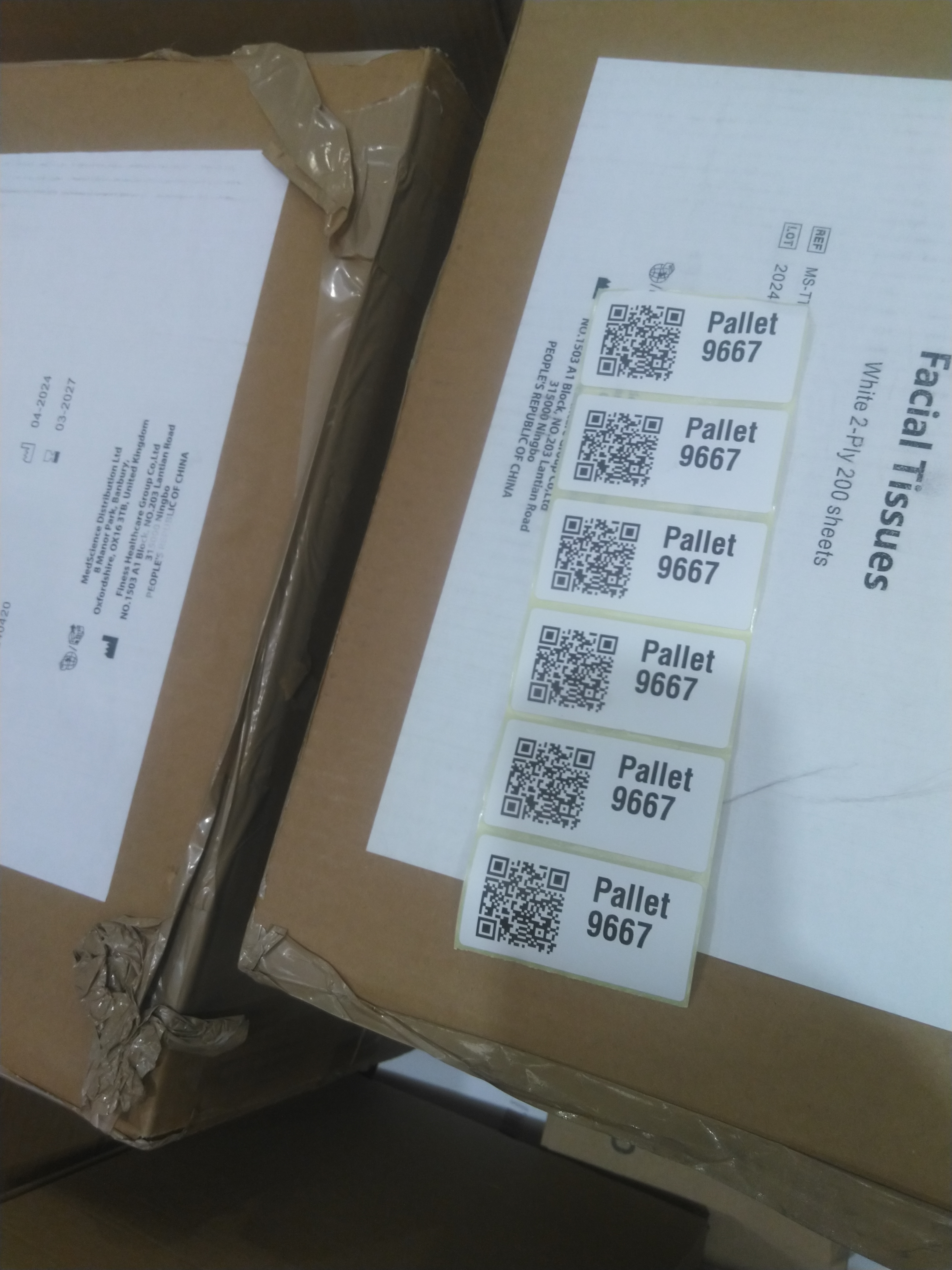 Pallet 9667