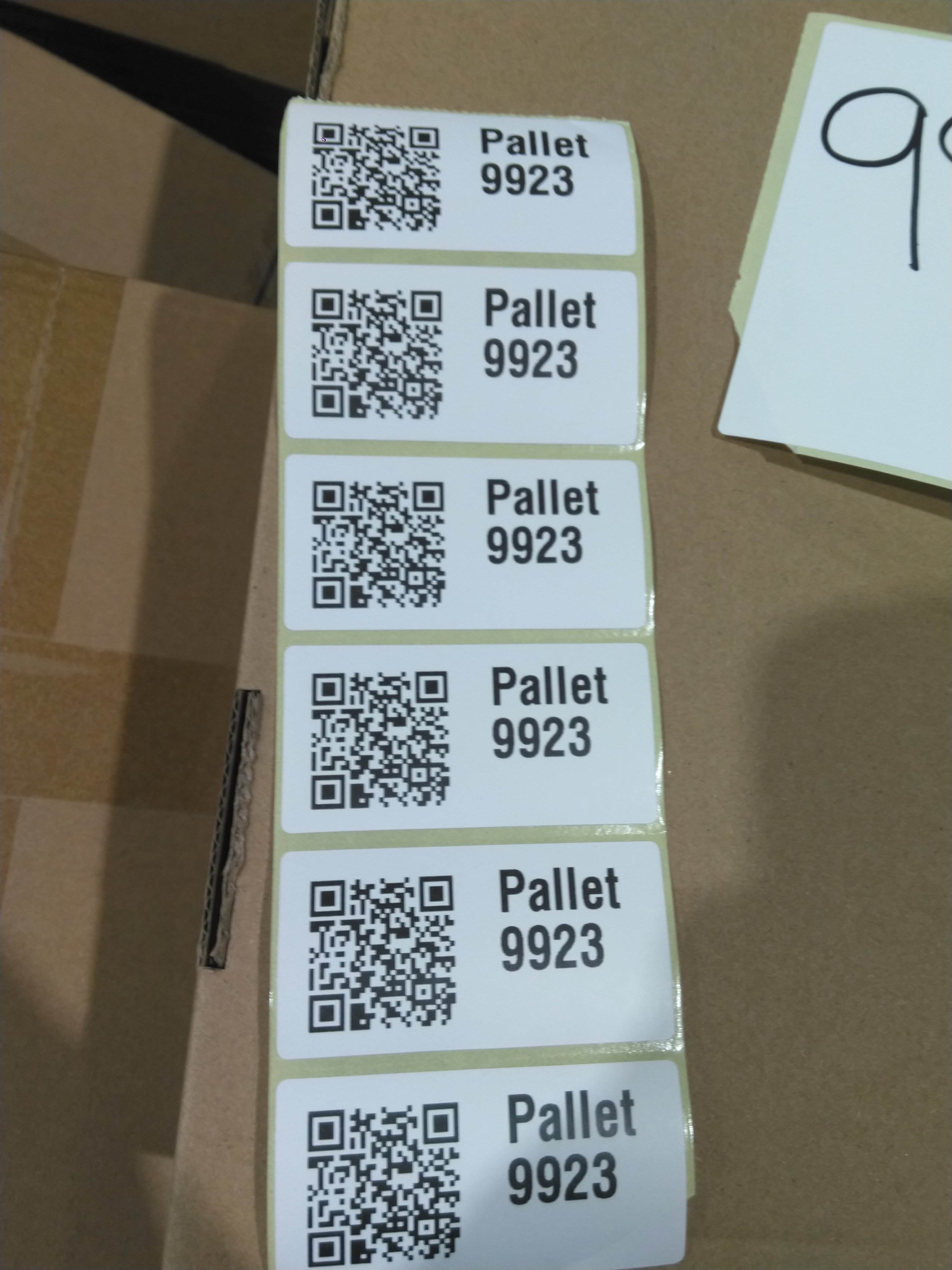 Pallet 9923